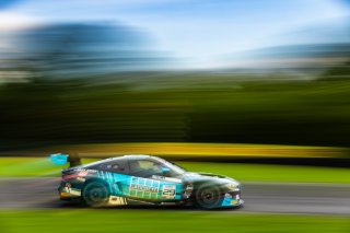 #29 BMW M4 GT3 EVO of Justin Rothberg and Robby Foley, Turner Motorsport, Pro-Am, GT World Challenge America Powered by AWS, SRO America, Virginia International Raceway, Alton, VA, July 18-20, 2025
 | Fabian Lagunas | www.lagunasphotography.com | For SRO Motorsports Group 2025