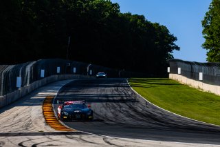#91 Mercedes-AMG GT3 of Jeff Burton and Philip Ellis, Regulator Racing, GT World Challenge America, Pro-Am, SRO America, Road America, Elkhart Lake, WI, Aug 15 - 17, 2025
 | Fabian Lagunas | www.lagunasphotography.com | For SRO Motorsports Group 2025