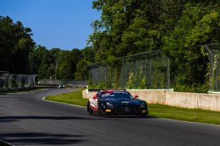 #91 Mercedes-AMG GT3 of Jeff Burton and Philip Ellis, Regulator Racing, GT World Challenge America, Pro-Am, SRO America, Road America, Elkhart Lake, WI, Aug 15 - 17, 2025
 | Fabian Lagunas | www.lagunasphotography.com | For SRO Motorsports Group 2025