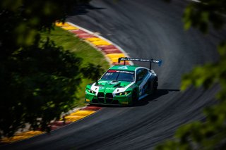#99 BMW M4 GT3 of Kenton Koch and Connor De Phillippi, Random Vandals Racing, GT World Challenge America, Pro, SRO America, Road America, Elkhart Lake, WI, Aug 15 - 17, 2025
 | Fabian Lagunas | www.lagunasphotography.com | For SRO Motorsports Group 2025