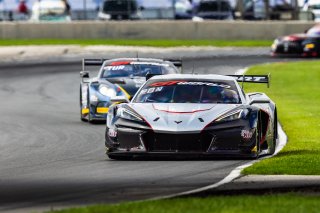 #50 Chevrolet Corvette Z06 GT3.R of Ross Chouest and Aaron Povoledo, Chouest Povoledo Racing, GT World Challenge America, Pro-Am, SRO America, Road America, Elkhart Lake, WI, Aug 15 - 17, 2025
 | Fabian Lagunas | www.lagunasphotography.com | For SRO Motorsports Group 2025