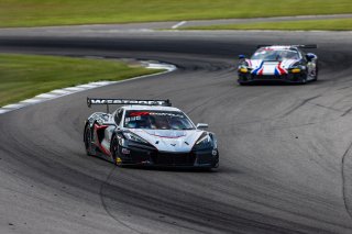 #50 Chevrolet Corvette Z06 GT3.R of Ross Chouest and Aaron Povoledo, Chouest Povoledo Racing, GT World Challenge America, Pro-Am, SRO America, Barber Motorsports Park, Birmingham, AL, Sept 5 - 7, 2025
 | Fabian Lagunas | www.lagunasphotography.com | For SRO Motorsports Group 2025