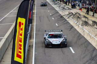 #50 Chevrolet Corvette Z06 GT3.R of Ross Chouest and Aaron Povoledo, Chouest Povoledo Racing, GT World Challenge America, Pro-Am, SRO America, Barber Motorsports Park, Birmingham, AL, Sept 5 - 7, 2025
 | Fabian Lagunas | www.lagunasphotography.com | For SRO Motorsports Group 2025