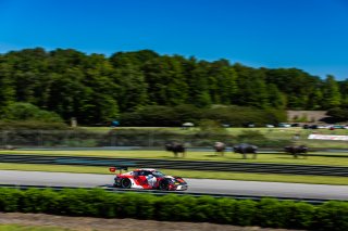 #18 Porsche 992 GT3 R of Alex Sedgwick and Jan Heylen, RS1, GT World Challenge America, Pro, SRO America, Barber Motorsports Park, Birmingham, AL, Sept 5 - 7, 2025
 | Fabian Lagunas | www.lagunasphotography.com | For SRO Motorsports Group 2025
