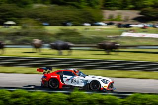 #34 Mercedes-AMG GT3 of Michai Stephens and Mikael Grenier, JMF Motorsports, GT World Challenge America, Pro, SRO America, Barber Motorsports Park, Birmingham, AL, Sept 5 - 7, 2025
 | Fabian Lagunas | www.lagunasphotography.com | For SRO Motorsports Group 2025