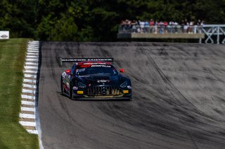 #91 Mercedes-AMG GT3 of Jeff Burton and Philip Ellis, Regulator Racing, GT World Challenge America, Pro-Am, SRO America, Barber Motorsports Park, Birmingham, AL, Sept 5 - 7, 2025
 | Fabian Lagunas | www.lagunasphotography.com | For SRO Motorsports Group 2025