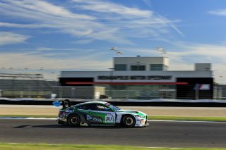 #51 BMW M4 GT3 EVO of Varun Choksey / Bill Auberlen / Philipp Eng, Random Vandals Racing, Indy 8H, IGTC, Pro, SRO America, Indianapolis Motor Speedway, Indianapolis, IN, Oct 16–19, 2025
 | Fabian Lagunas | www.lagunasphotography.com | For SRO Motorsports Group 2025