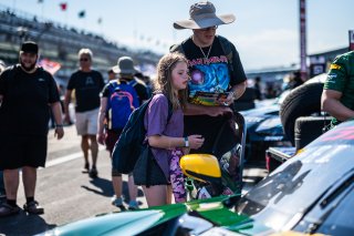 Grid walk at GT World Challenge America Powered by AWS, SRO America, Indianapolis Motor Speedway, Indianapolis, IN, October 16-19, 2025.
 | SRO Motorsports Group