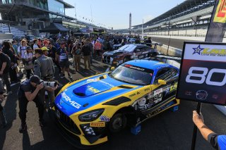 Grid walk at GT World Challenge America Powered by AWS, Indy 8HR, SRO America, Indianapolis Motor Speedway, Speedway, IN Oct 15 - 19, 2025 #80 Mercedes-AMG GT3 EVO of Lin Hodenius / Maxime Martin / Jules Gounon, Lone Star Racing, Indy 8H, IGTC, Pro, India | Fabian Lagunas | www.lagunasphotography.com | For SRO Motorsports Group 2025
