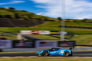 #12 Ferrari 296 GT3 EVO of Matias Perez Companc and Frederik Schandorff, AF Corse USA, GT World Challenge America, Pro, SRO America, Sonoma Raceway, Sonoma, CA, Mar 27 - 29, 2026
 | Fabian Lagunas&copy;2026