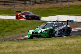 #99 BMW M4 GT3 EVO of Derek DeBoer and Hampus Ericsson, Random Vandals Racing, GT World Challenge America, Pro-Am, SRO America, Sonoma Raceway, Sonoma, CA, Mar 27 - 29, 2026
 | Fabian Lagunas&copy;2026