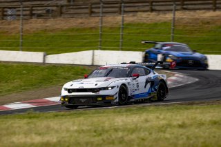 #6 Ford Mustang GT3 EVO of Cameron Lawrence and Alex Sedgwick, Dollahite Racing, GT World Challenge America, Pro, SRO America, Sonoma Raceway, Sonoma, CA, Mar 27 - 29, 2026
 | Fabian Lagunas&copy;2026