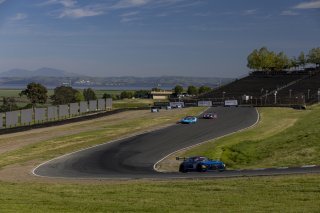 #9 Mercedes-AMG GT3 EVO of Brayton Williams and Will Bamber, TR3 Racing, GT World Challenge America, Pro-Am, SRO America, Sonoma Raceway, Sonoma, CA, Mar 27 - 29, 2026
 | Fabian Lagunas&copy;2026