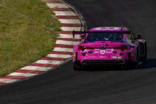 #14 BMW M4 GT3 EVO of Slade Stewart and Andy Lee, Riley Technologies, GT World Challenge America, Pro-Am, SRO America, Sonoma Raceway, Sonoma, CA, Mar 27 - 29, 2026
 | Fabian Lagunas&copy;2026