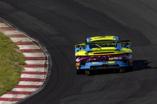 #242 Porsche 911 GT3-R (992) of Therese Lahlouh and Thomas Merrill, Wright Motorsports, GT World Challenge America, Pro-Am, SRO America, Sonoma Raceway, Sonoma, CA, Mar 27 - 29, 2026
 | Fabian Lagunas&copy;2026