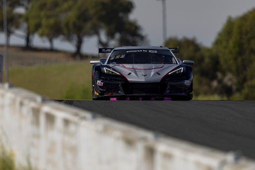 #50 Chevrolet Corvette Z06 GT3.R of Ross Chouest and Aaron Povoledo, Chouest Povoledo Racing, GT World Challenge America, Pro-Am, SRO America, Sonoma Raceway, Sonoma, CA, Mar 27 - 29, 2026
 | Fabian Lagunas&copy;2026