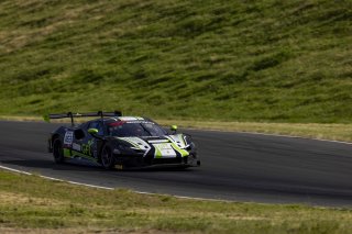 #163 Ferrari 296 GT3 EVO of Jay Schreibman and Oswaldo Negri, AF Corse USA, GT World Challenge America, Am, SRO America, Sonoma Raceway, Sonoma, CA, Mar 27 - 29, 2026
 | Fabian Lagunas&copy;2026