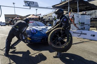 #017 Porsche 911 GT3-R (992) of Michael Clark and Colin Braun, Kellymoss, GT World Challenge America, Pro-Am, SRO America, Sonoma Raceway, Sonoma, CA, Mar 27 - 29, 2026
 | Fabian Lagunas&copy;2026