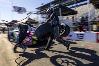 #13 Porsche 911 GT3-R (992) of Todd Parriott and Riley Dickinson, Kellymoss, GT World Challenge America, Pro-Am, SRO America, Sonoma Raceway, Sonoma, CA, Mar 27 - 29, 2026
 | Fabian Lagunas&copy;2026