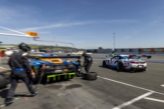 #6 Ford Mustang GT3 EVO of Cameron Lawrence and Alex Sedgwick, Dollahite Racing, GT World Challenge America, Pro, SRO America, Sonoma Raceway, Sonoma, CA, Mar 27 - 29, 2026
 | Fabian Lagunas&copy;2026