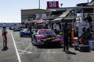 #13 Porsche 911 GT3-R (992) of Todd Parriott and Riley Dickinson, Kellymoss, GT World Challenge America, Pro-Am, SRO America, Sonoma Raceway, Sonoma, CA, Mar 27 - 29, 2026
 | Fabian Lagunas&copy;2026