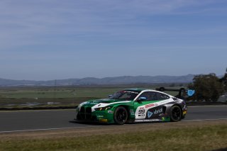 #99 BMW M4 GT3 EVO of Derek DeBoer and Hampus Ericsson, Random Vandals Racing, GT World Challenge America, Pro-Am, SRO America, Sonoma Raceway, Sonoma, CA, Mar 27 - 29, 2026
 | Fabian Lagunas&copy;2026