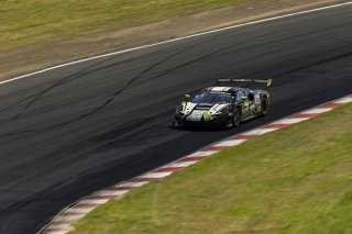 #163 Ferrari 296 GT3 EVO of Jay Schreibman and Oswaldo Negri, AF Corse USA, GT World Challenge America, Am, SRO America, Sonoma Raceway, Sonoma, CA, Mar 27 - 29, 2026
 | Fabian Lagunas&copy;2026