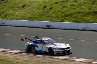 #6 Ford Mustang GT3 EVO of Cameron Lawrence and Alex Sedgwick, Dollahite Racing, GT World Challenge America, Pro, SRO America, Sonoma Raceway, Sonoma, CA, Mar 27 - 29, 2026
 | Fabian Lagunas&copy;2026