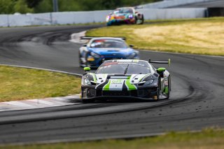 #163 Ferrari 296 GT3 EVO of Jay Schreibman and Oswaldo Negri, AF Corse USA, GT World Challenge America, Am, SRO America, Sonoma Raceway, Sonoma, CA, Mar 27 - 29, 2026
 | Fabian Lagunas&copy;2026