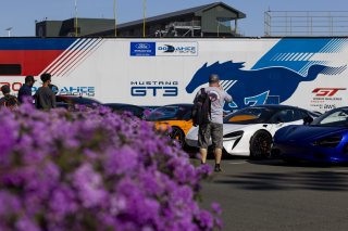 Car Collective, SRO America, Sonoma Raceway, Sonoma, CA, Mar 27 - 29, 2026
 | Fabian Lagunas&copy;2026
