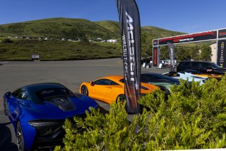 Car Collective, SRO America, Sonoma Raceway, Sonoma, CA, Mar 27 - 29, 2026
 | Fabian Lagunas&copy;2026