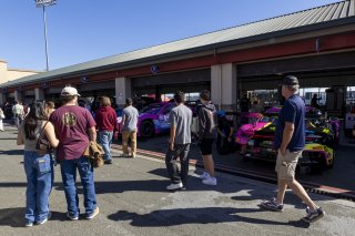 Paddock, #14 BMW M4 GT3 EVO of Slade Stewart and Andy Lee, Riley Technologies, GT World Challenge America, Pro-Am, SRO America, Sonoma Raceway, Sonoma, CA, Mar 27 - 29, 2026
 | Fabian Lagunas&copy;2026