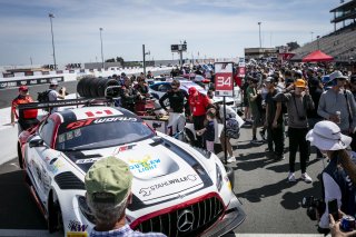 Grid walk, SRO America, Sonoma Raceway, Sonoma, CA, Mar 27 - 29, 2026
 | SRO Motorsports Group