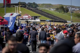 Grid walk, SRO America, Sonoma Raceway, Sonoma, CA, Mar 27 - 29, 2026
 | SRO Motorsports Group