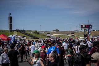 Grid walk, SRO America, Sonoma Raceway, Sonoma, CA, Mar 27 - 29, 2026
 | SRO Motorsports Group