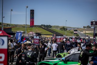 Grid walk, SRO America, Sonoma Raceway, Sonoma, CA, Mar 27 - 29, 2026
 | SRO Motorsports Group