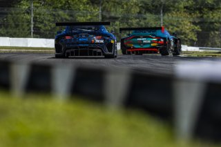 #9 Mercedes-AMG GT3 EVO of Brayton Williams and Daniel Morad, TR3 Racing, GT World Challenge America, Pro-Am, SRO America, Barber Motorsport Park, Leeds, AL, Sept 24 - 27, 2026
 | Fabian Lagunas | www.lagunasphotography.com | 2026