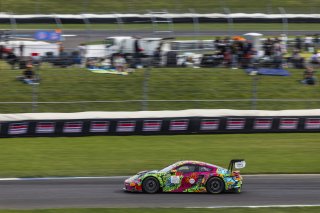 #31 Porsche 911 GT3-R (992) EVO of Dave Musial Jr., Ryan Yardley, and Laurin Heinrich, Wright Motorsports, Indianapolis 8 Hour / GT World Challenge America, IGTC Pro-Am, SRO America, Indianapolis 8 Hour, Indianapolis Motor Speedway, Speedway, IN, Oct 7 -  | Fabian Lagunas | www.lagunasphotography.com | 2026